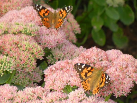 Gramercy Park Cooperative