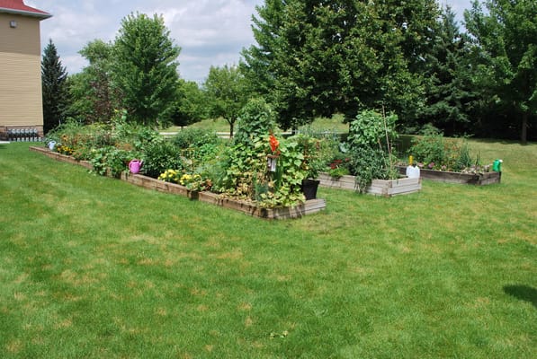 Raised garden beds with colorful plants and flowers