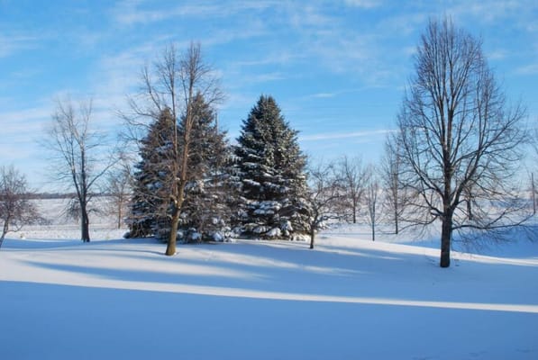 Gramercy Park Cooperative