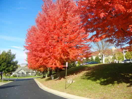 Gramercy Park Cooperative