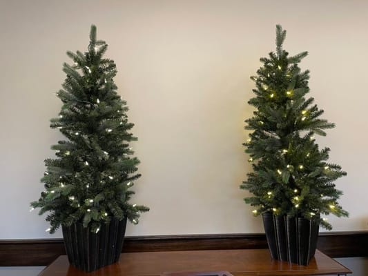 Chester Street Residence