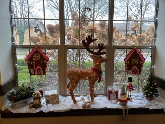 Chester Street Residence