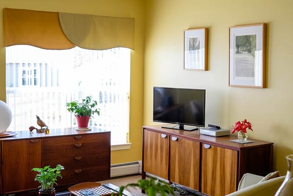 Cozy living room interior with modern furnishings