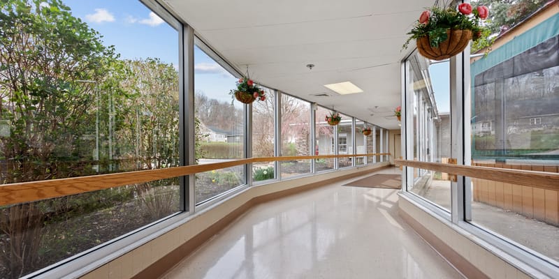 A bright hallway with large windows and plants