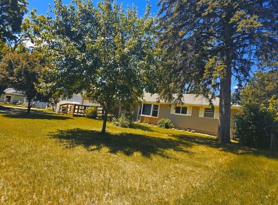 Exterior view of a senior living facility surrounded by trees