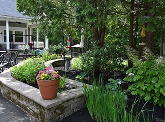 Beautiful outdoor space with flourishing garden