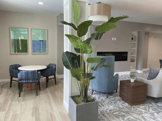 A cozy common area with seating and plants