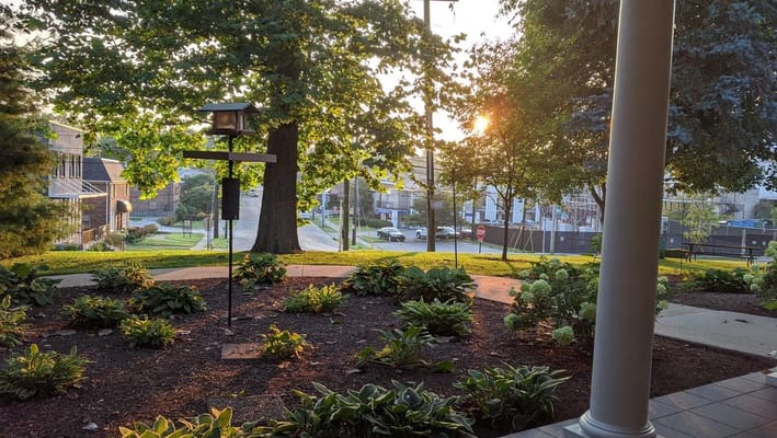 Peaceful garden space with greenery and sunlight