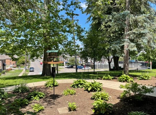 A serene garden area with trees and flowers