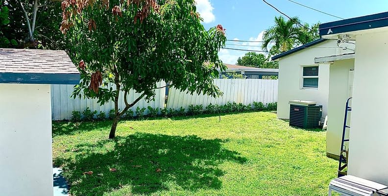 A sunny outdoor space with grass and trees