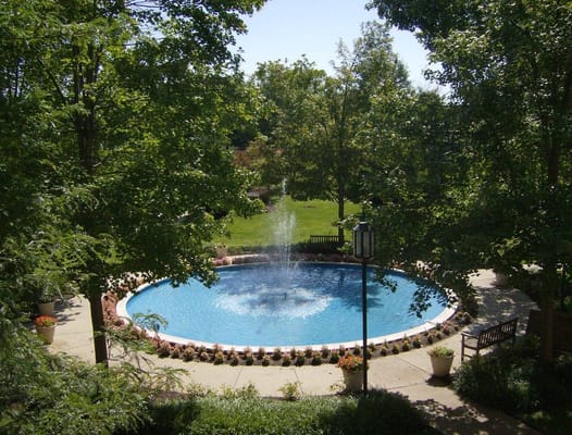 Outdoor pool area surrounded by greenery