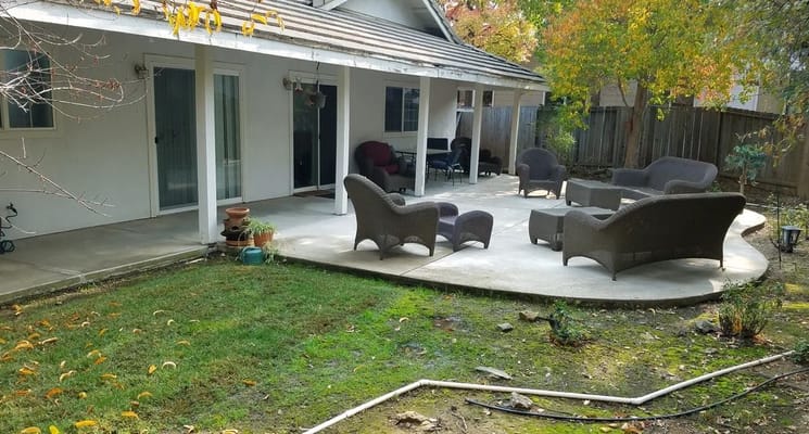 Patio seating area surrounded by greenery