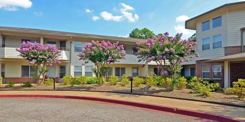 Exterior view of Feels Like Home with flowering trees.