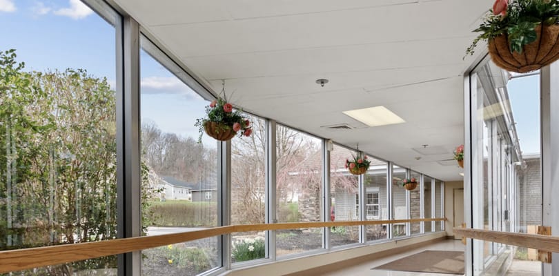 Sunlit corridor with large windows and hanging plants
