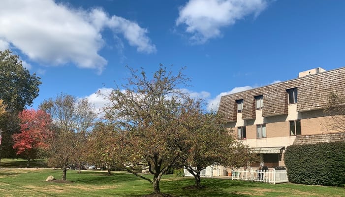 Exterior view of Highland Square Nursing facility with trees
