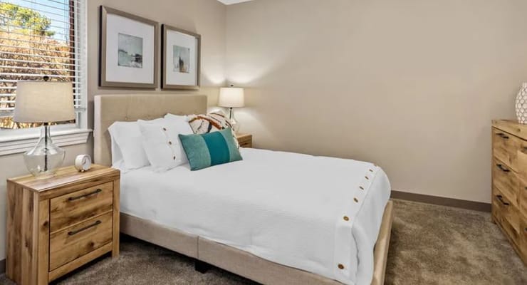 1 Bed