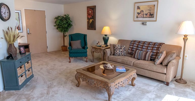 Cozy living room with comfortable furniture