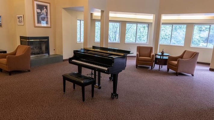 A black piano in a cozy living room with armchairs and large windows.