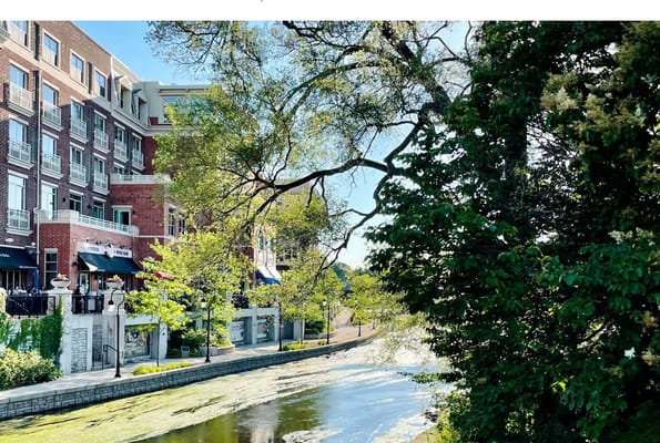 A peaceful outdoor view alongside a canal