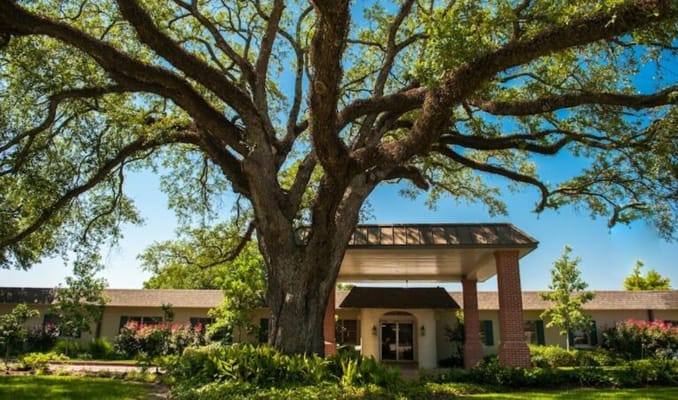 Lady of the Oaks Retirement