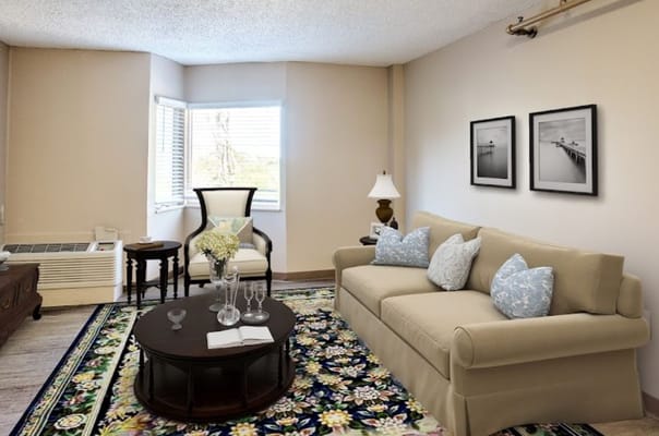 Cozy living room setup in a senior apartment.