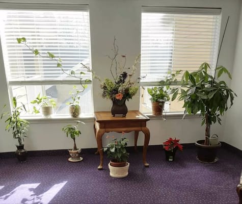 Bright living room with various indoor plants and a flower arrangement on a wooden table.