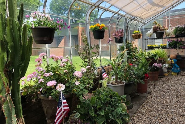 A vibrant greenhouse with colorful flowers and plants