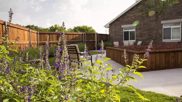 Outdoor garden area with flowering plants and seating