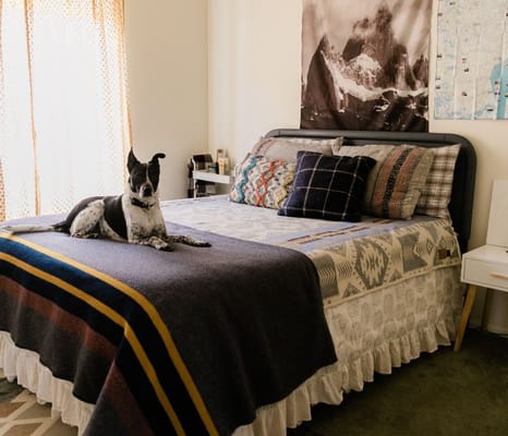 A cozy bedroom featuring a bed with colorful pillows and a dog resting on a blanket.