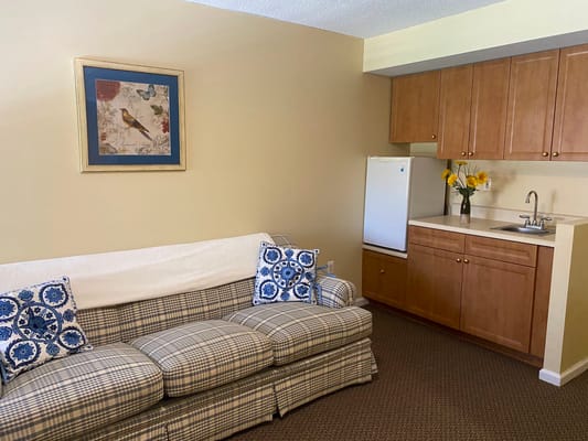 Cozy living area with a couch and kitchenette