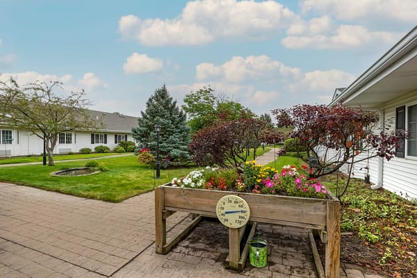 Flower bed in the garden with pathway and buildings in the background