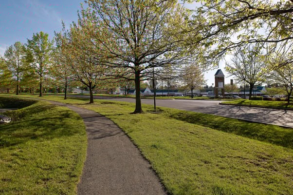 A scenic walking path lined with trees at Spring Ridge Senior Apartments.