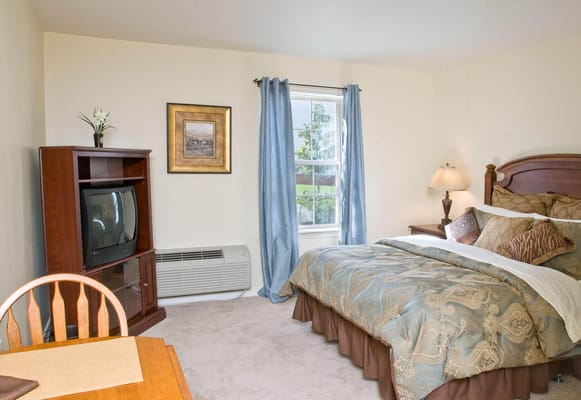Bright bedroom featuring a bed, TV, and window curtains