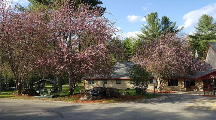 Exterior view of the facility surrounded by blooming trees