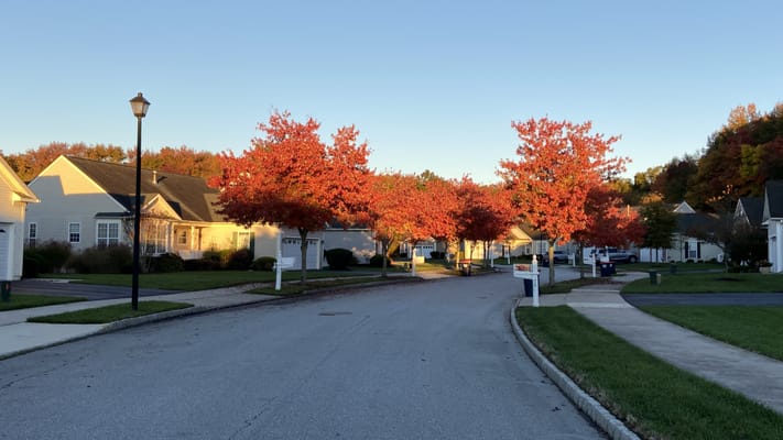 Colorful autumn trees lining a quiet street at Springmill Community.