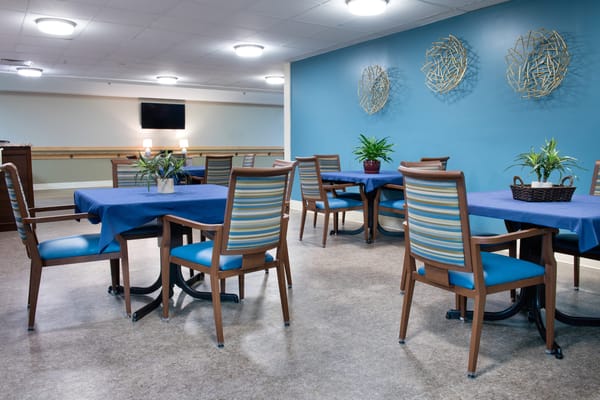 Bright dining area with blue tables and plants