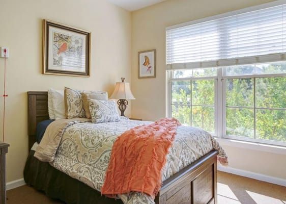 1 Bed