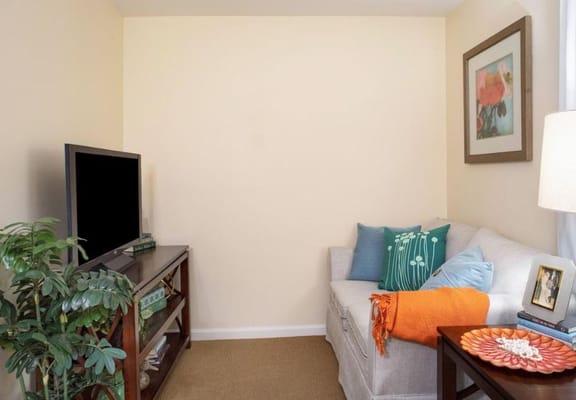 1 Bed