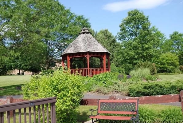 Wooden gazebo surrounded by greenery