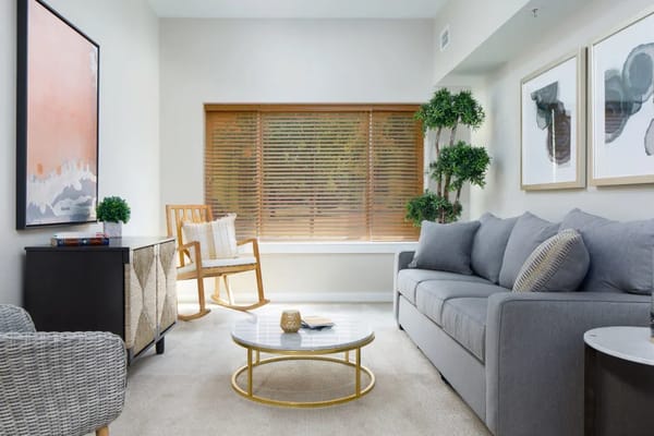 Living room with a gray sofa, coffee table, and window blinds