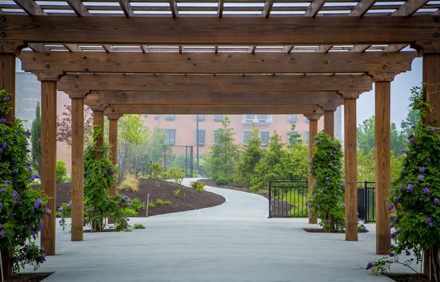 Wooden pergola framing a winding path with lush greenery