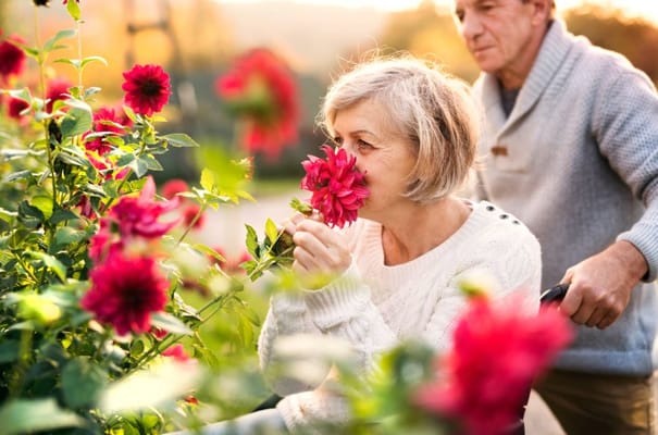 Senior woman smelling flowers while being assisted by a man in a sweater.