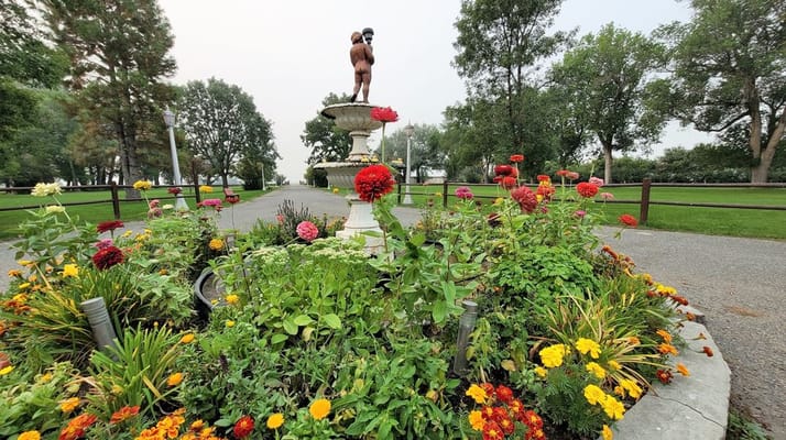 A flower garden surrounding a fountain in a park
