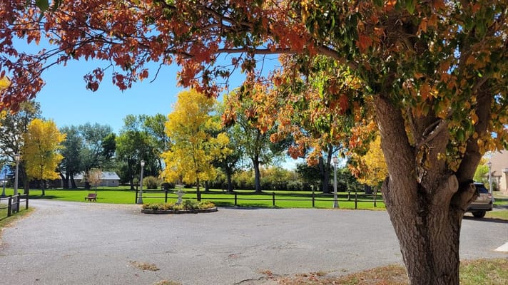 Autumn view of a peaceful outdoor space