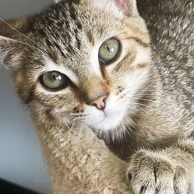 Martin Boyd Christian Home