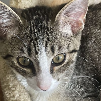 Martin Boyd Christian Home