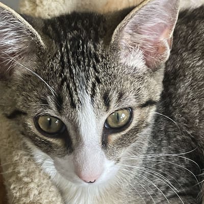 Martin Boyd Christian Home