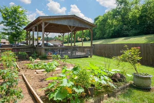 Outdoor pavilion surrounded by garden beds