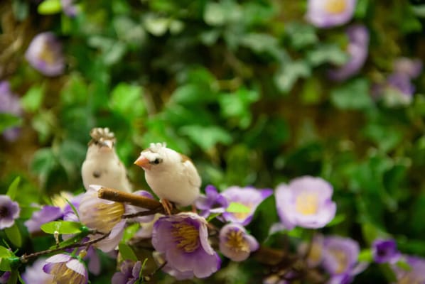 Life Care Center of Red Bank