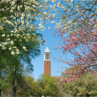 Seniors Prefer Homecare